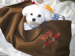 Pefect for a baby shower gift. Custom Pet Blanket Reddit Petslover