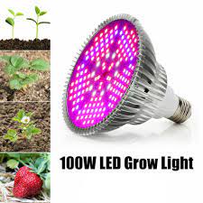Try to experiment with one of the ten lights above to see how well they work. Buy E26 E27 100w Led Grow Light Bulb Full Spectrum Lamp For Indoor Plant Veg Growing At Affordable Prices Free Shipping Real Reviews With Photos Joom