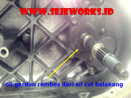We did not find results for: Ini Bro Penyebab Dan Cara Mengatasi Oli Rembes Serta Biaya Perbaikannya