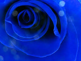 Show Me The Color Indigo Indigo Color Indigo Colour Feeling Blue Color Meanings