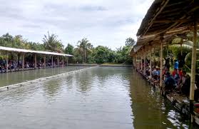 Jamal Jaya Buka Seminggu Sekali Lomba Pelampungan Mas 72 Lapak Kabar Mancing