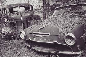 Old Cars Old Style Blackandwhite Bnw Nature Trees Naturetakingover Oldcarcityusa Cargraveyard Carmuseum Wherecarsgot Old Cars Car Museum Old Fashioned