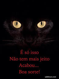 é Só Isso Não Tem Mais Jeito Acabou Boa Sorte Boa Sorte Good Luck Filhotes De Gatos Boa Sorte Musicas Trechos De