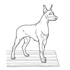 Altijd leuk voor mensen die niet graag lezen en dit keer ook leerrijk. Tekening Hond Moeilijk