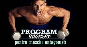 65 x 30 = 1950 kcal pe zi. Program De Antrenament De 4 Zile Pentru Muschi Antagonisti