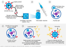 Mrna is complementary to one of the dna strands of a gene. Different Types Of Covid 19 Vaccines How They Work Mayo Clinic