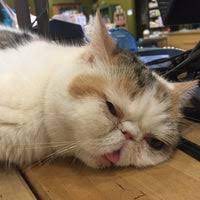 … all the best pet care. Next To Nature West Seattle 4543 California Ave Sw