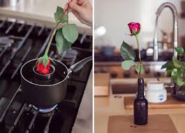 Check spelling or type a new query. Wax Dipped Flowers Camille Styles