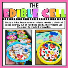 Building a cell model should deepen your understanding of the cell, each organelle's role, and how they some of them are edible and made of cakes, candies, and even pizza! The Edible Cell By Maniacs In The Middle Teachers Pay Teachers