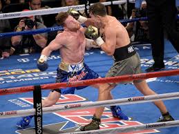 All wallpapers including hd, full hd and 4k provide high quality guarantee. Gennady Golovkin Gray Trunks Hits Canelo Alvarez With A Right