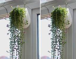 2021 From Crafts668 4 76 Dhgate Com Hanging Vases Ceramic Flower Pots Cheap Flower Pots