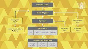 Video Explains How The New Zealand Judicial System Works Nz Herald