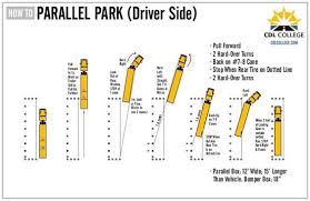 Cdl College Truck Driving School Inforgraphic Parallel