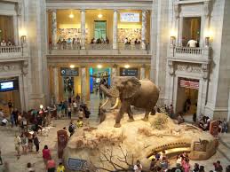 Night At The Museum Anyone Smithsonian Museum Of Natural History Night At The Museum Smithsonian Museum Washington Dc