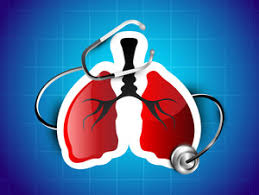 Download Real Human Heart Transparent Background Royalty-Free Photos,  Illustrations, and Vectors - Storyblocks