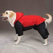 The Five Best Winter Dog Coats With Legs For Full Canine Coverage In The Cold Lovely Animals World Dog Winter Coat Dog Snowsuit Dog Coats