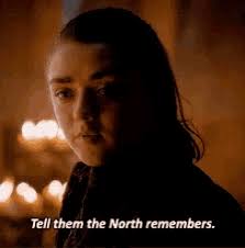 Raptor legend Aaron Baynes retirement : r/torontoraptors