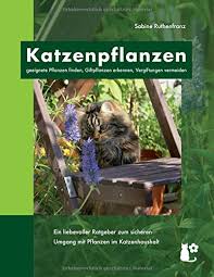 Manche sind gefährlich, wenn die katze an den blättern knabbert, manche jedoch auch unbedenklich. Katzenpflanzen Geeignete Pflanzen Finden Giftpflanzen Erkennen Vergiftungen Vermeiden Amazon De Ruthenfranz Sabine Bucher