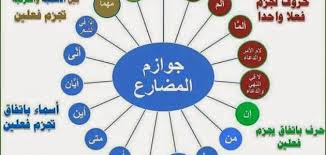 أدوات الشرط غير الجازمة مع أمثلة معلومة ثقافية