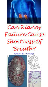 Kidney Failure Kidney Disease Awareness Polycystic Kidney Disease Kidney Infection