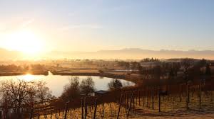 Schweizer radio und fernsehen, zur startseite. Heutiges Wetter Fur S Ganze Jahr Bauernregeln Farmticker