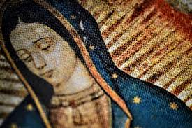 Stars of the mantle of the Virgin of Guadalupe