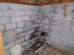Not only does a wet basement feel and smell nasty, it poses a great risk to your home's value. Basement Waterproofing Basement Waterproofing In Charles Town Wv Wet Basement Walls