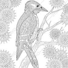 Woodpecker Coloring Pages Animal Coloring Book Pages For Adults Instant Download Print Animal Coloring Pages Bird Coloring Pages Coloring Pages