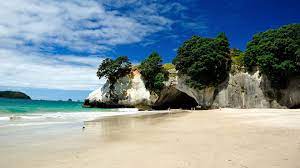 Cathedral Cove Walk Walking And Tramping In Hahei Area Cathedral Cove New Zealand Beach Beach Place