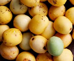 Image result for Pygmaeothamnus zeyheri