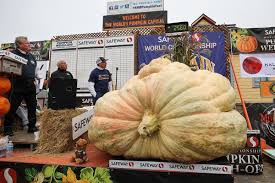 Image result for giant pumpkin