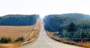 Image result for Syzygium komatiense