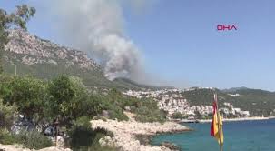 Antalya'nın kaş ilçesinde çıkan ve şiddetli rüzgarın da etkisiyle büyüyen orman yangınının söndürülmesi için sebebi henüz bilinmeyen yangın şiddetli rüzgarın da etkisiyle hızla büyüdü. Antalya Da Orman Yangini 50 Hektarlik Alan 5 Ila 10 Yapi Zarar Gordu Son Dakika Flas Haberler