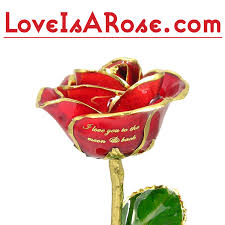 What does a gold dipped rose mean. Personalized Roses Customized Roses Love Is A Rose