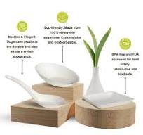 Amazon.com: 50ct Small 5.9'' Square White Sugarcane Mini ...