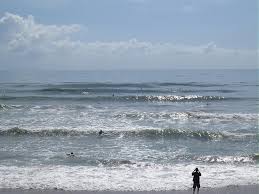 Brevard Surf Report Daily Surf Reports Tides And Surf