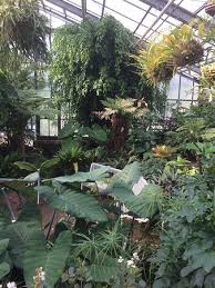 Garden in germany (en) jardin botanico de. Botanischer Garten Solingen Aktuelle 2021 Lohnt Es Sich Mit Fotos Tripadvisor