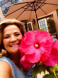 Hollywood Hibiscus plant care and experiences