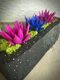 And moreover, these are such a great alternative to. Cosmic Cactus From Home Depot Planted In A Brick Painted Black With Stars Pretty Awesome Purple Martin House Plants Air Plants