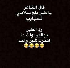 desertrose funny arabic quotes arabic funny funny texts