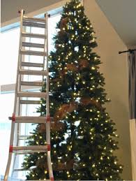 We did not find results for: Decorating A 12 Ft Christmas Tree