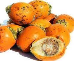 Contextual translation of buah pinang into malay. Buah Pinang For Health Therapy Steemit