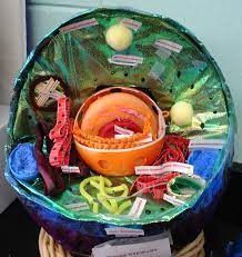 We did not find results for: Every Year In Biology My Students Make Models Of The Cell The Model Has To Be Made Out Of Paper Mache And Can Not Cells Project Cell Model Project Cell Model