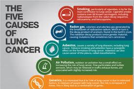 It's probably half the rate that we see in dogs. Lung Cancer Awareness Month Little Red Door