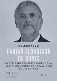 Pablo Javier Schultz Guadaroli