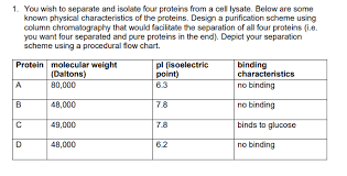 Solved 1 You Wish To Separate And Isolate Four Proteins