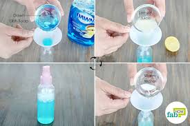 5 Ways To Kill Fleas On Dogs With Dawn Dish Soap Fab How
