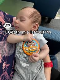How to Take A Baby to Disney That's One