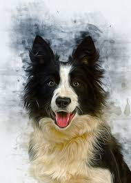 It is able to be trained to a high degree. Border Collie My Dog Rules Metal Wall Sign Man Cave Home Decor Plaques Signs Com Home Garden