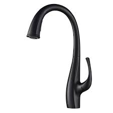dual function pull down kitchen faucet
